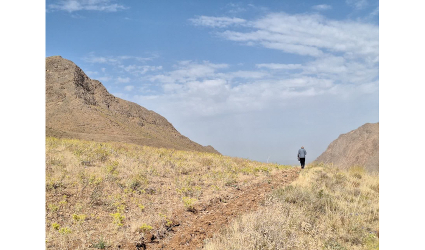 بررسی میدانی تصرف احتمالی اراضی ملی در روستای سلطان‌آباد ملایر