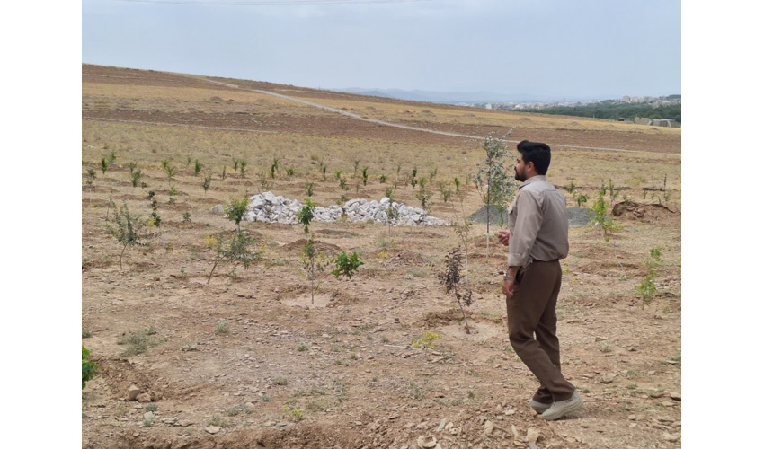 بررسی میدانی تخریب و تصرف احتمالی اراضی ملی در روستای ازناو ملایر