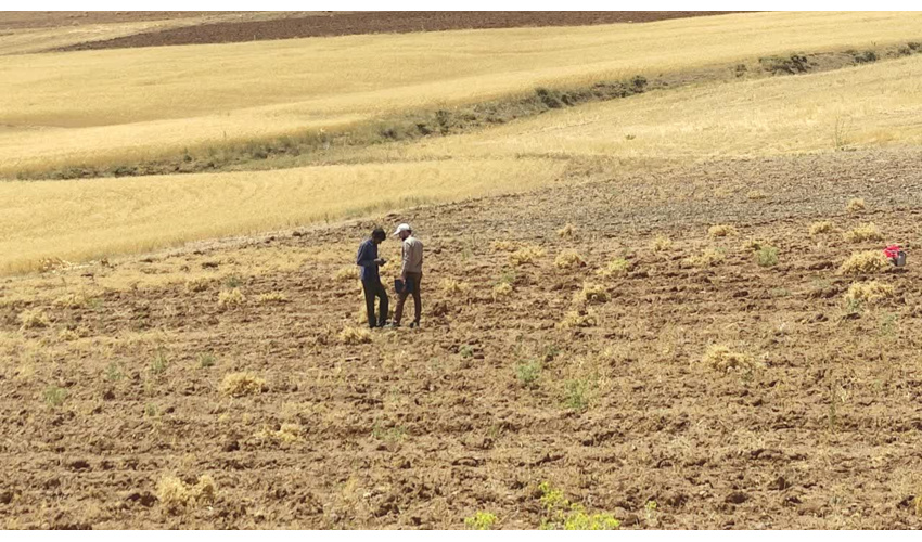 پایش و بازدید از اراضی ملی روستای خورونده با هدف پیشگیری از تخلفات