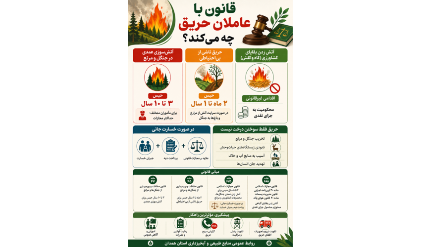 قانون با عاملان حریق چه می کند؟