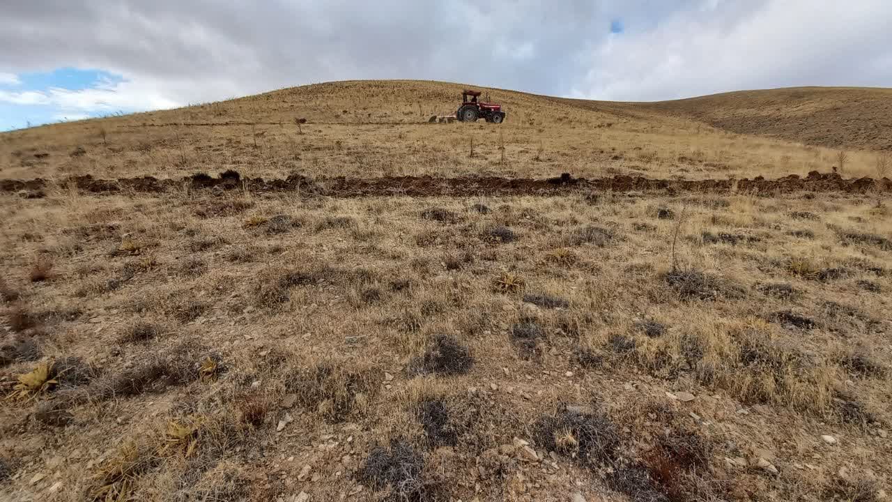  پروژه های بیومکانیک و کودپاشی اراضی ملی روستای عین آباد رزن